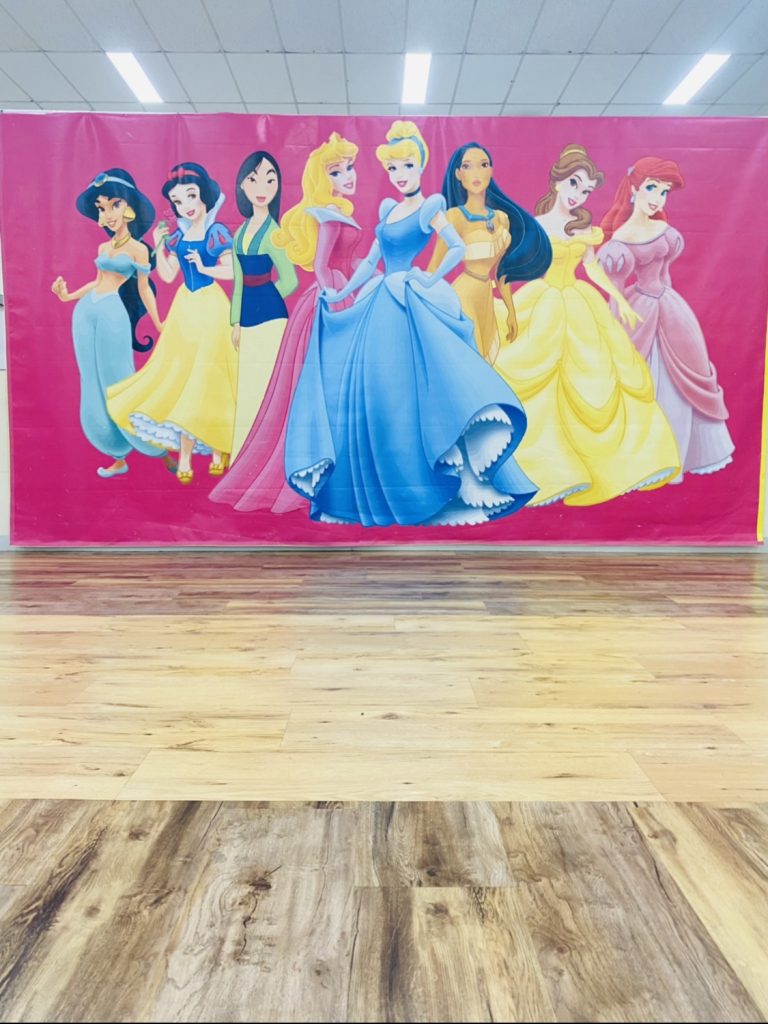 Princess Banner V.1.0